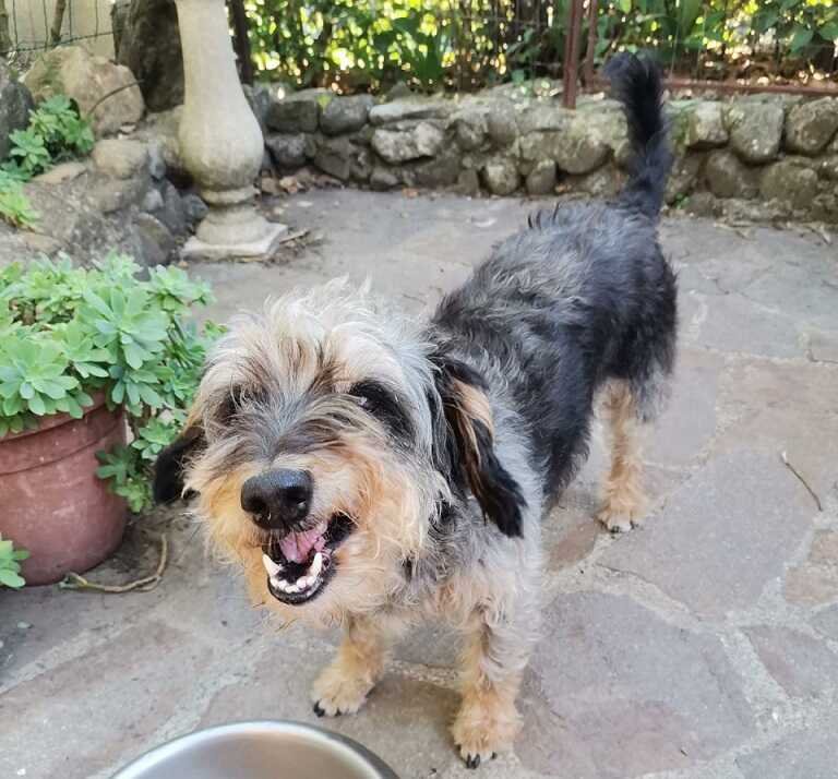 ecco-la-storia-di-ambra-e-gemma,-rimaste-senza-casa-ne-cercano-una-insieme-•-terzo-binario-news