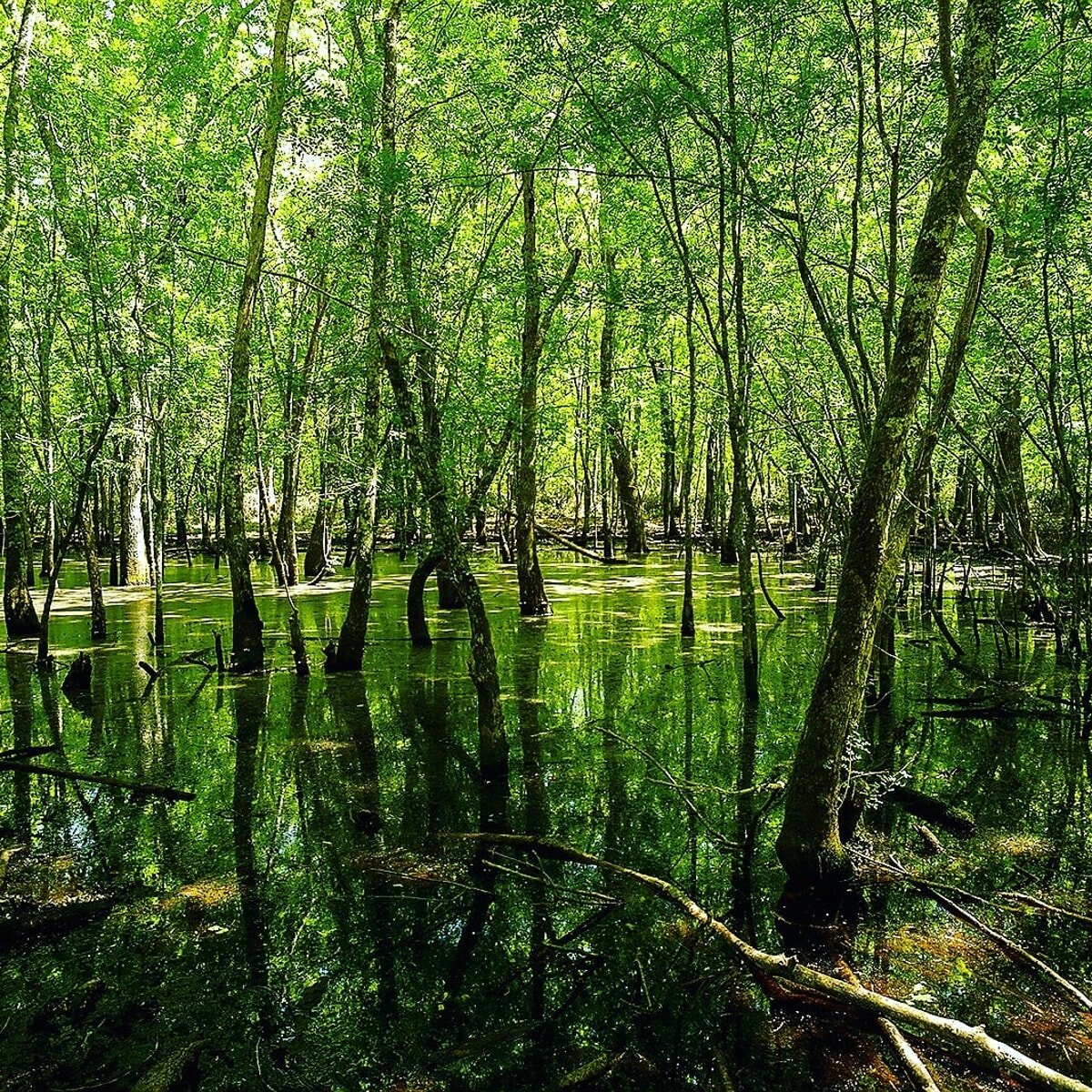 passeggiata-poetica-alle-piscine-della-verdesca-nel-parco-nazionale-del-circeo