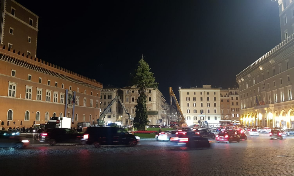 roma,-riecco-spelacchio:-l’albero-di-natale-a-piazza-venezia-illuminato-con-il-fotovoltaico