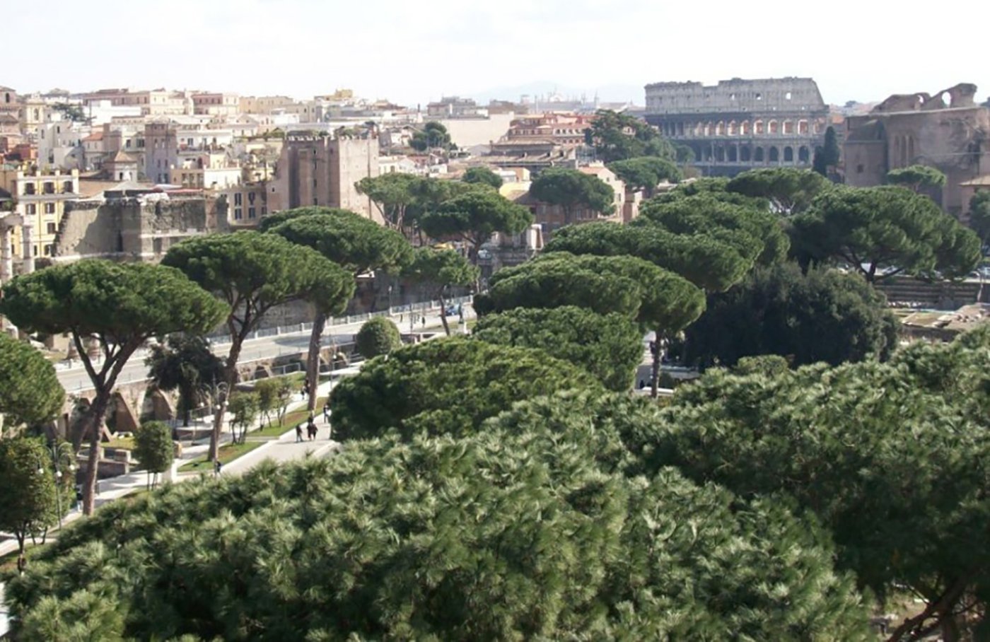 piano-verde-roma:-la-capitale-investe-su-nuovi-alberi,-parchi-e-ville