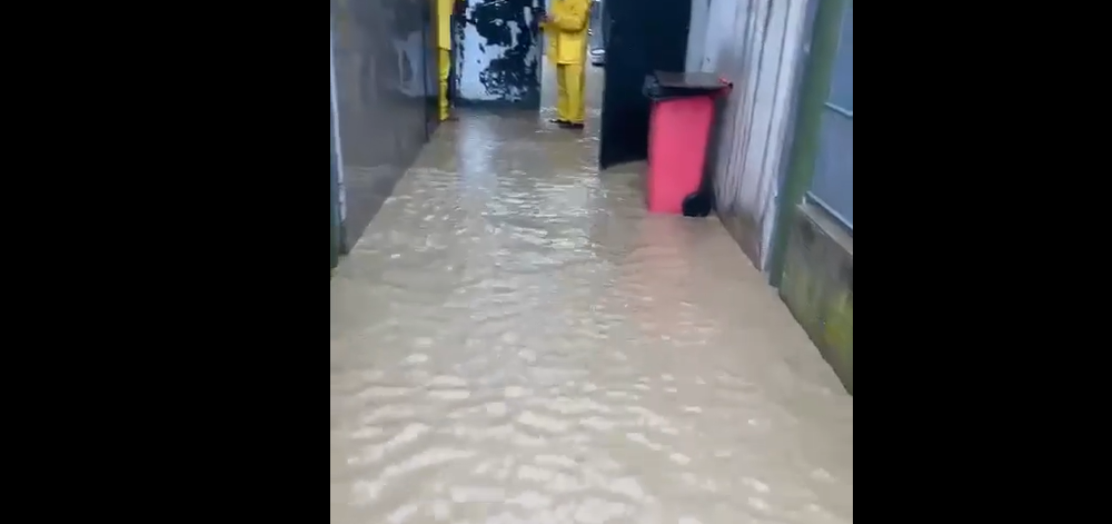 roma,-allagato-per-il-maltempo-il-canile-della-muratella