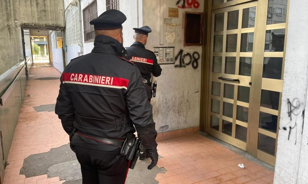 roma,-evade-dai-domiciliari-per-accudire-le-galline:-assolto-un-anziano-di-san-basilio
