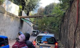 il-campidoglio-diffida-l