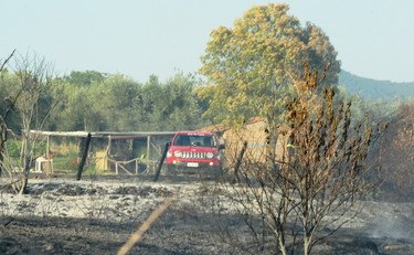 viterbo,-bracciante-agricolo-alla-sbarra-per-dodici-incendi-dolosi-del-2017