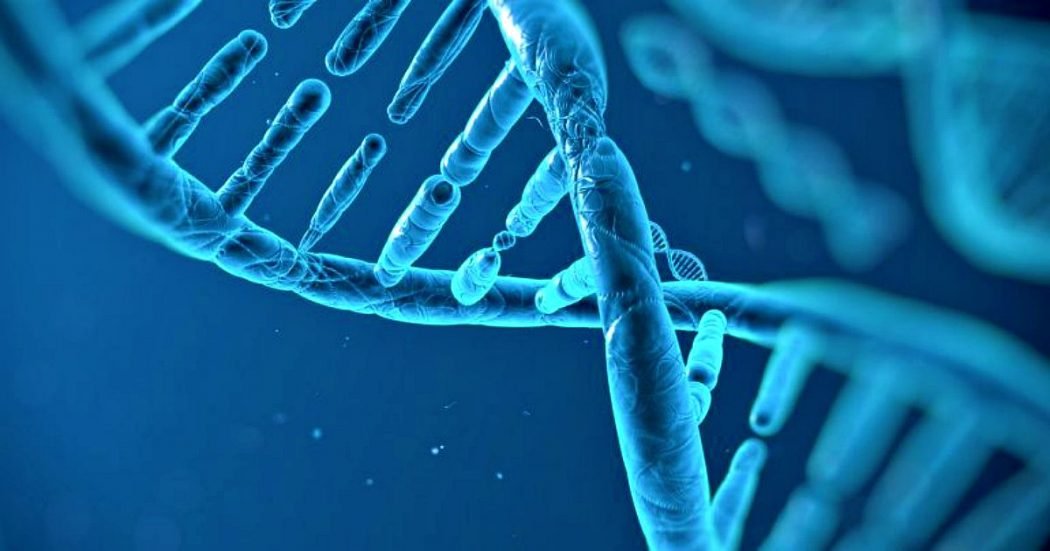 ricreare-in-un-modello-matematico-le-reti-di-geni-e-i-processi-che-permettono-al-sistema-di-riparazione-del-dna-di-funzionare.