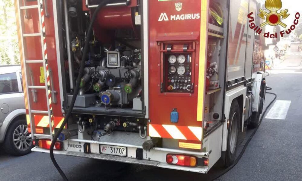 roma,-incendio-in-appartamento-fa-strage-di-pappagalli:-morti-tra-le-fiamme