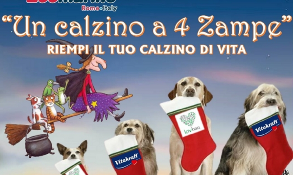 befana-a-zoomarine,-arriva-‘un-calzino-a-4-zampe’:-gli-eventi-del-6-gennaio-2023