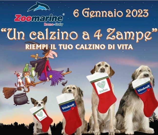 arriva-“un-calzino-a-4-zampe”-a-zoomarine-la-befana-regala-dolci-ai-bambini-e-raccoglie-cibo-e-accessori-da-donare-agli-animali-dei-rifugi.