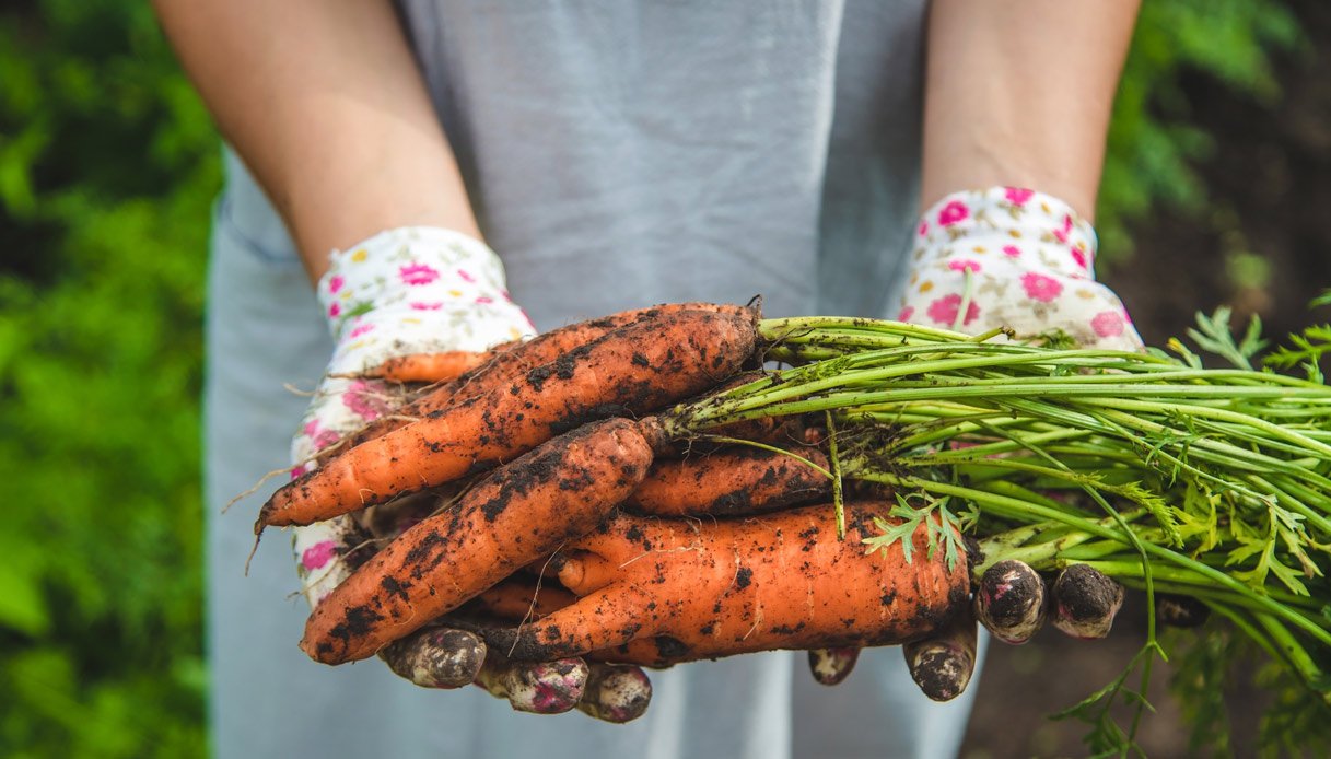 giardinaggio-in-compagnia,-ecco-perche-fa-bene-alla-salute