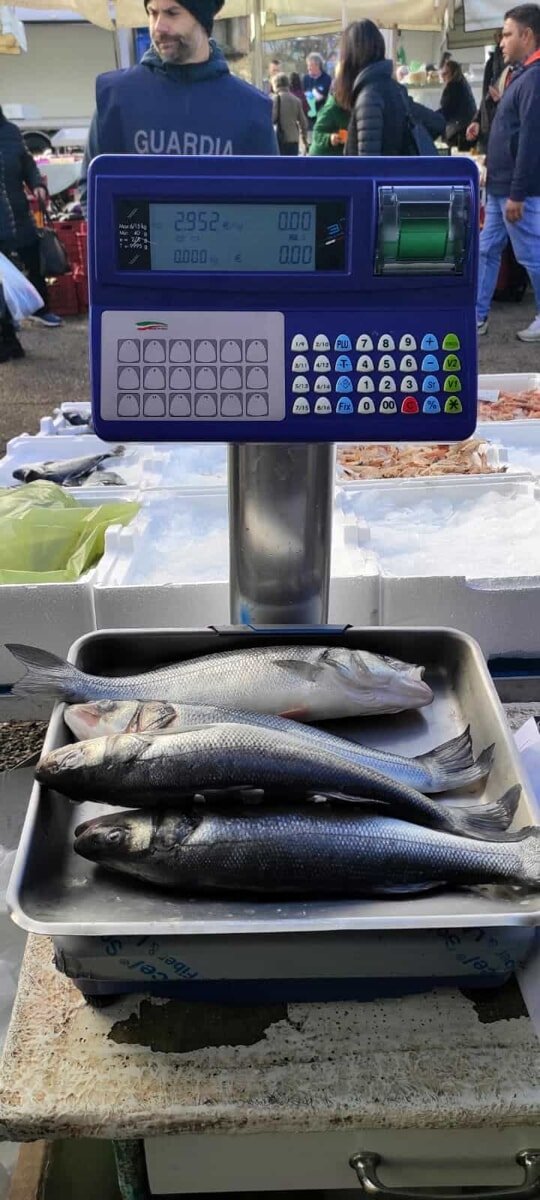 controlli-sui-prodotti-ittici,-sequestrato-un-quintale-di-pesce-al-mercato