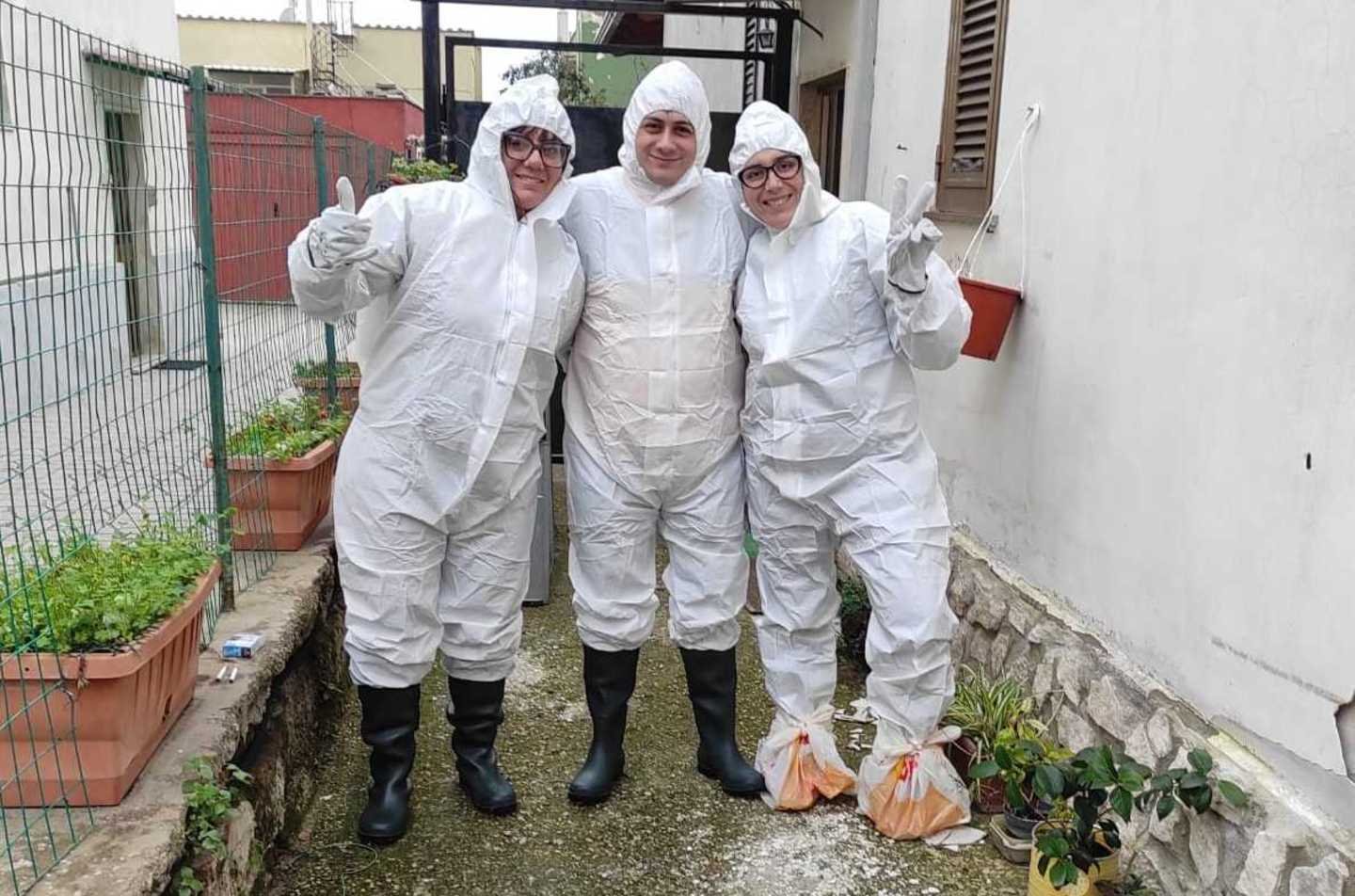 trovata-prigione-per-gatti