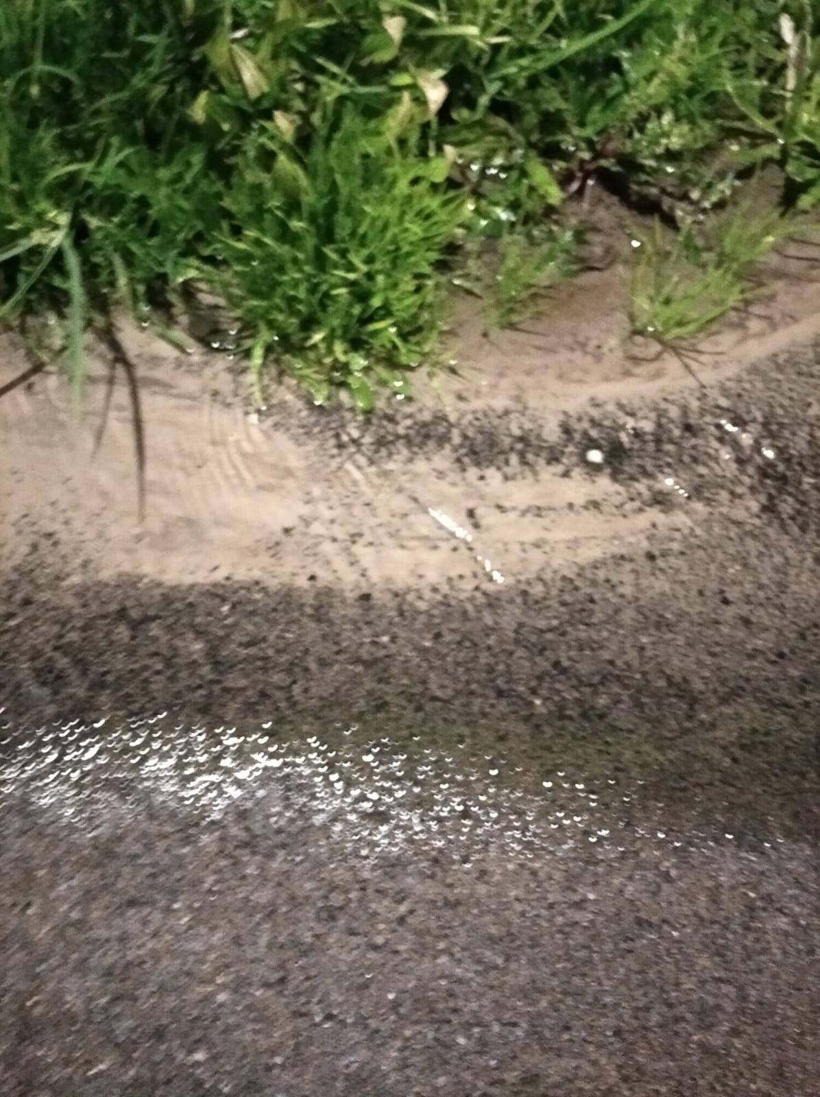 acqualatina-ripara-il-guasto-in-via-dei-frati,-la-gioia-dei-residenti