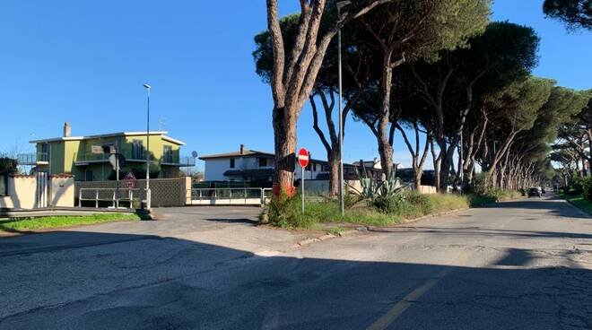 ostia,-saranno-abbattuti-oltre-100-alberi-su-via-dei-pescatori