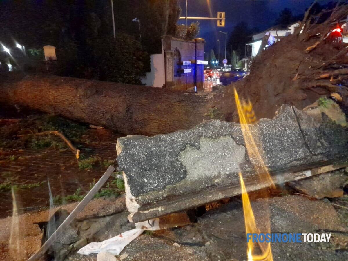 tromba-d’aria,-cade-un-grosso-albero.-danni-ad-una-struttura-alberghiera-(foto)