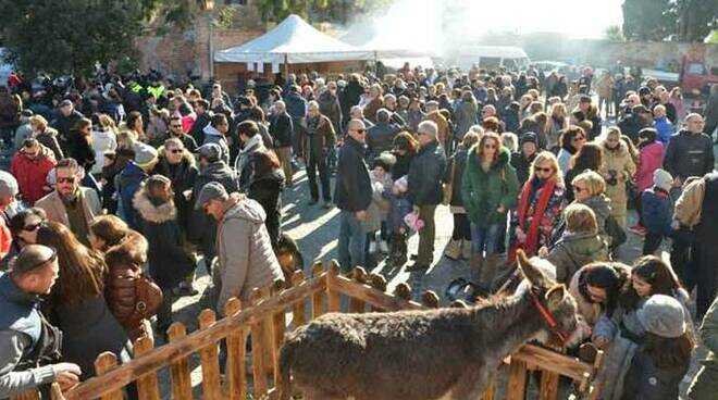 domenica-22-gennaio-montalto-e-pescia-festeggiano-sant'antonio-abate-•-terzo-binario-news