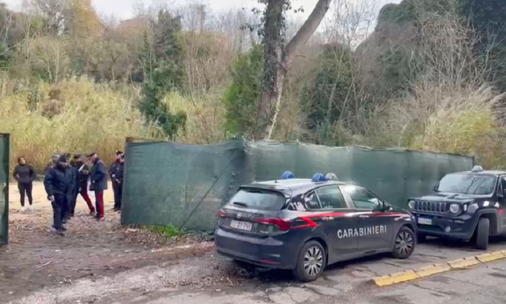 roma,-emergenza-cinghiali:-trovate-gabbie-trappola-all’ospedale-gemelli,-la-rabbia-degli-animalisti