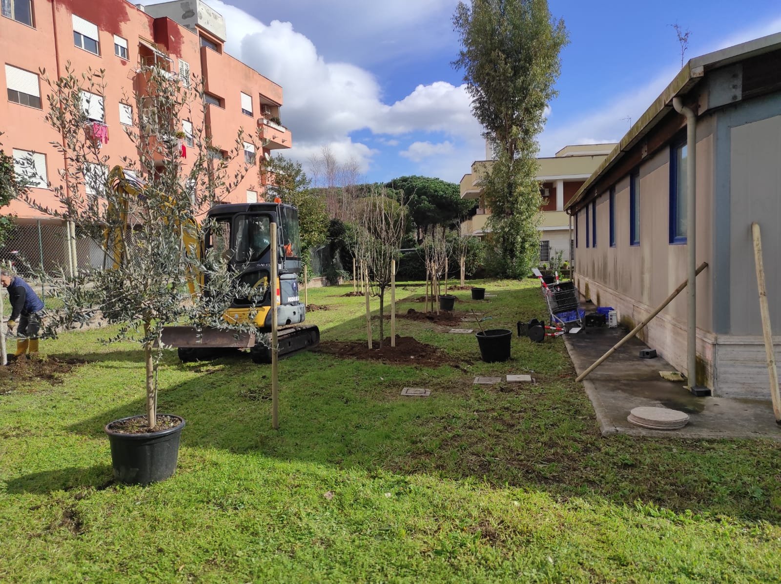 progetto-ossigeno,-il-comune-di-nettuno-ha-avviato-la-piantumazione
