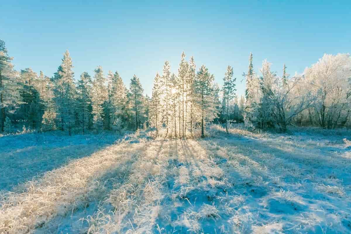 meteo:-e-in-arrivo-un'ondata-di-gelo-dalla-russia,-le-previsioni