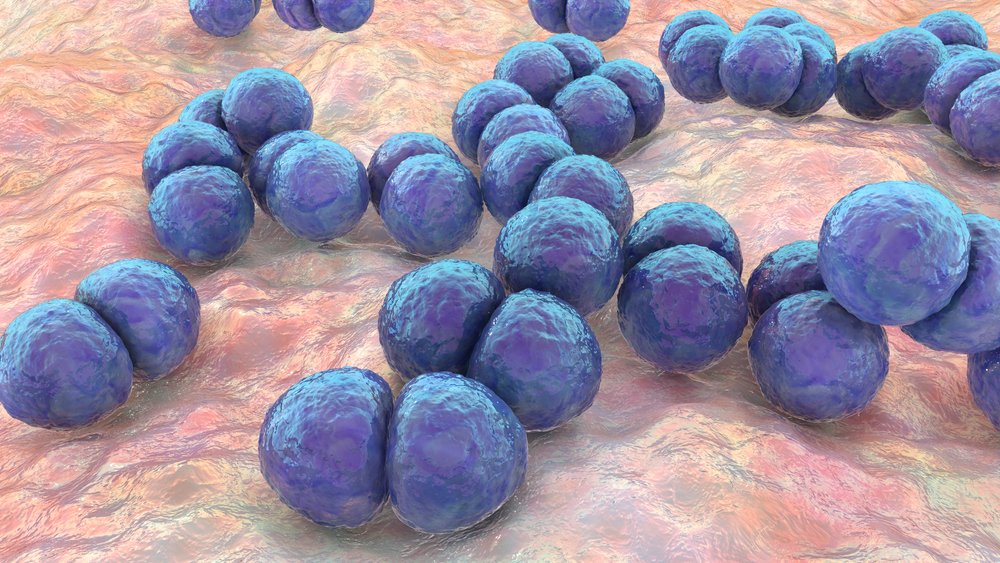 la-pandemia-covid-ha-aumentato-i-batteri-resistenti-agli-antibiotici