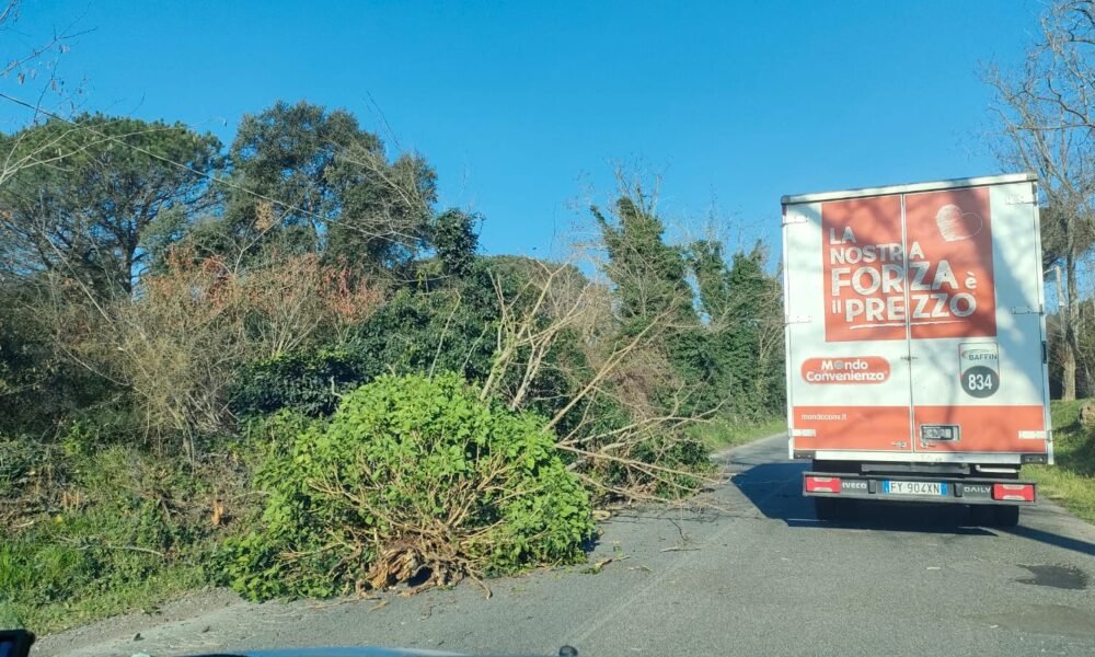 ramo-cade-in-via-pratica-di-mare:-traffico-bloccato-(foto)