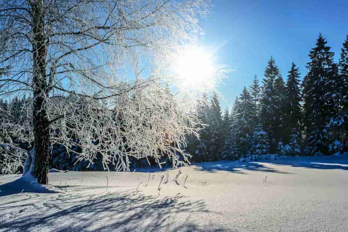 meteo-di-fine-febbraio:-tornano-freddo-e-neve,-le-ultime-previsioni