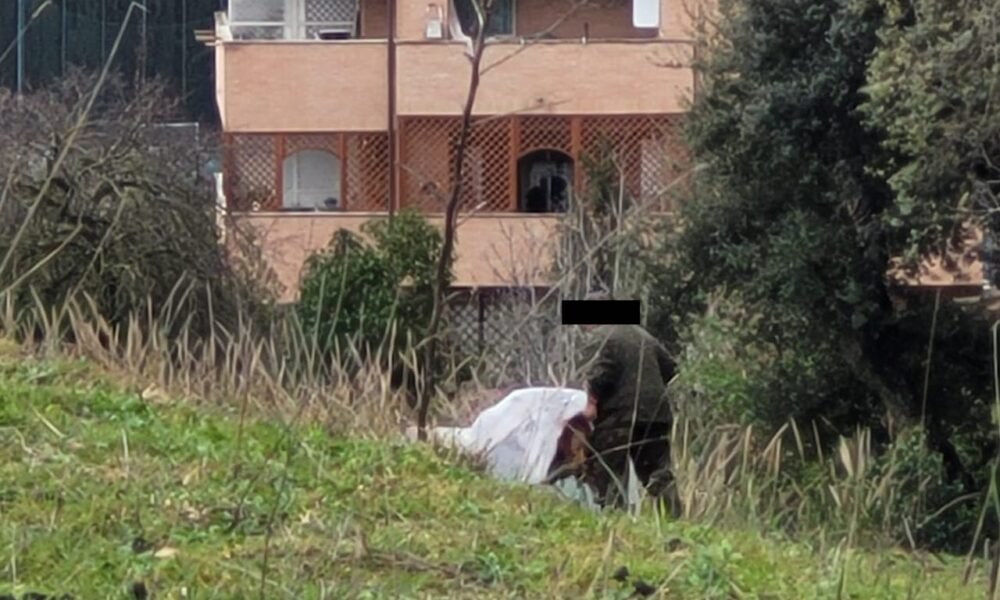 roma,-uccide-una-pecora-a-bastonate-e-la-nasconde-in-una-carriola:-scoperto-dai-residenti-(foto)