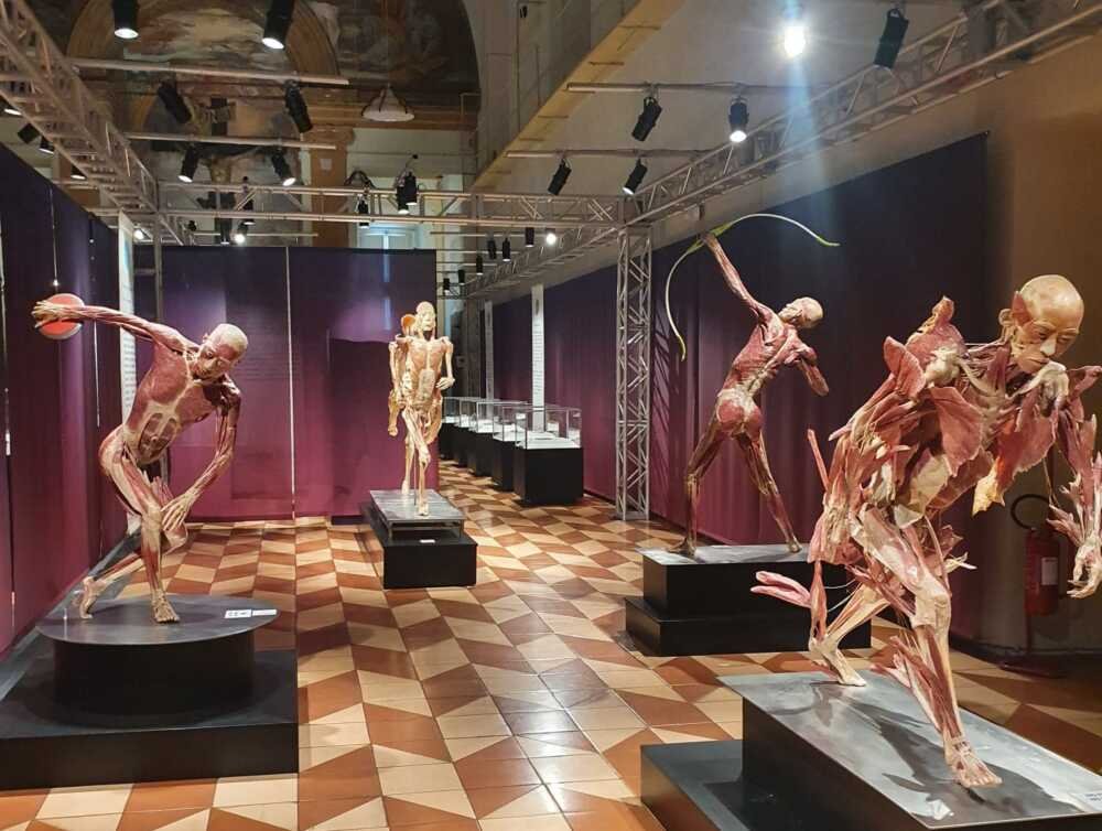 gli-studenti-del-“di-vittorio”-di-ladispoli-in-visita-alla-mostra-“real-bodies”-a-roma-•-terzo-binario-news