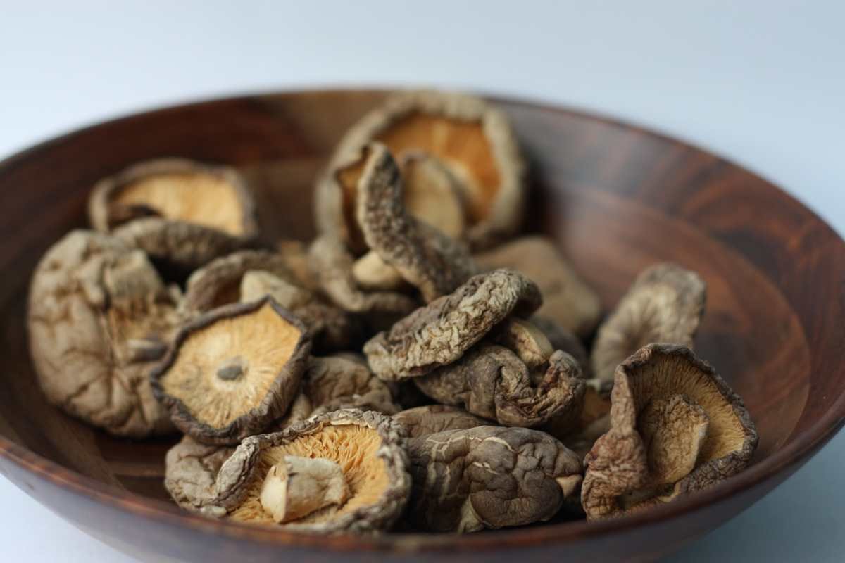 da-dove-arrivano-i-funghi-shiitake?-la-vera-storia-di-questo-alimento