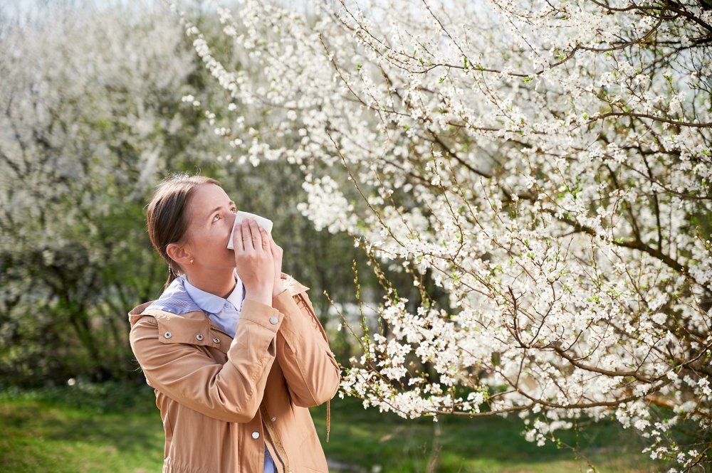 allergia-ai-pollini:-dall'automedicazione-al-vaccino.-ecco-i-5-consigli-degli-esperti-per-proteggersi-in-primavera