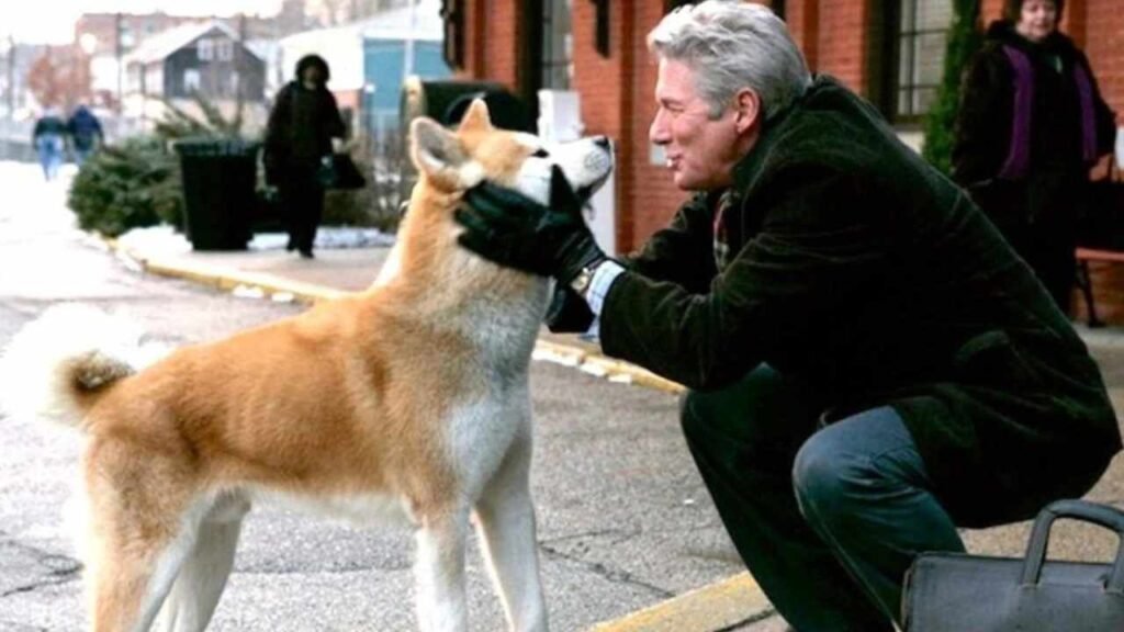 il-cane-come-un-figlio-e-casa-rosa,-il-camposanto-per-animali-piu-antico-d’italia