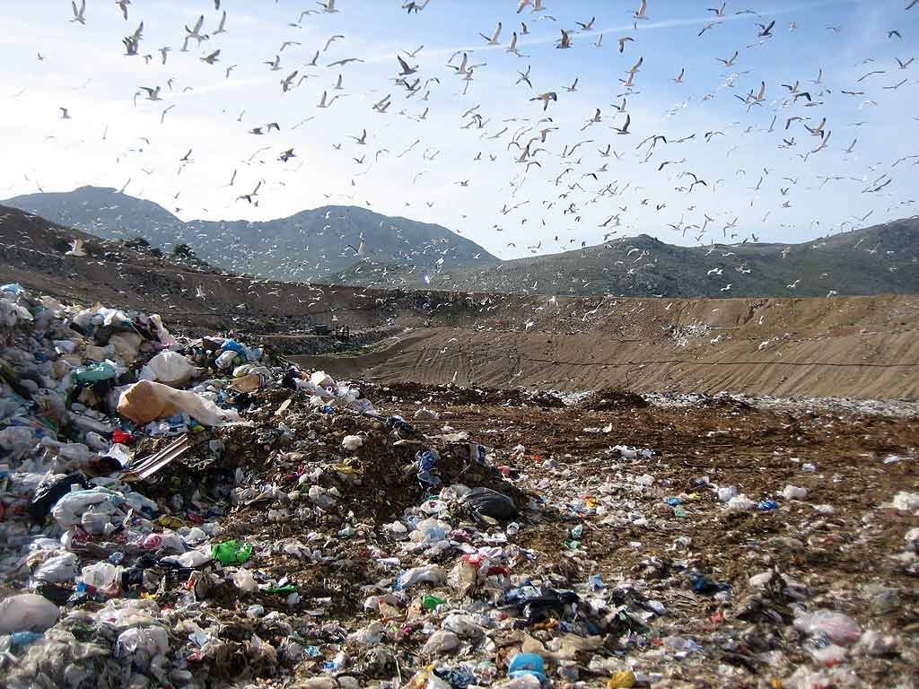 guidonia-–-tmb-e-cementerie,-i-grillini-all'attacco:-“guerra-di-rifiuti-in-atto,-il-sindaco-e-il-pd-indifferenti”-–-tiburno-tv