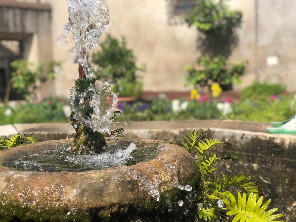 tivoli-–-a-villa-d'este-nasce-il-giardino-dei-melangoli-–-tiburno-tv