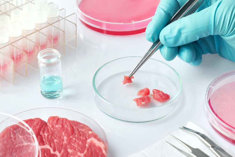 carne-artificiale,-quali-sono-i-pro-e-i-contro-per-la-salute?