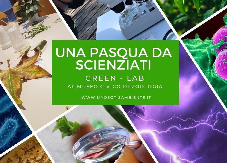 green-lab-–-una-pasqua-da-scienziati